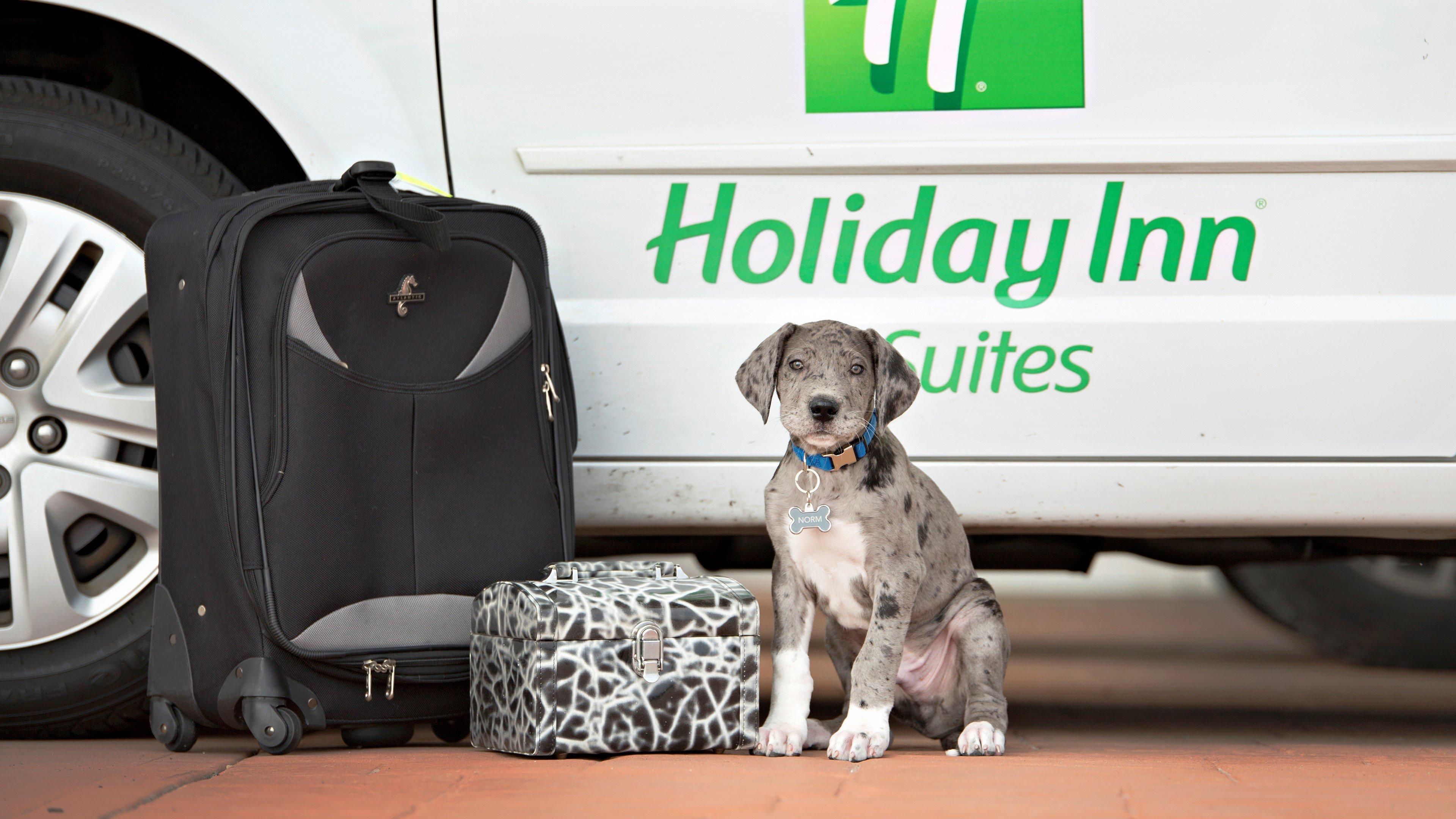 Holiday Inn Hotel & Suites Bloomington Airport By Ihg Экстерьер фото